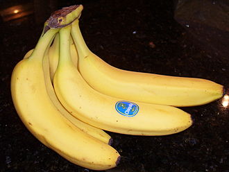 File source: http://commons.wikimedia.org/wiki/File:Bananas_on_countertop.JPG